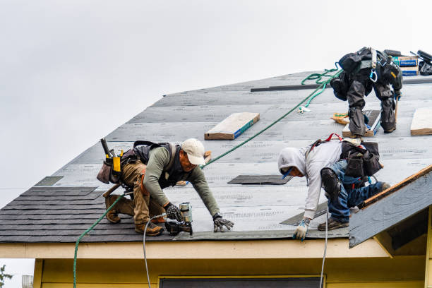 Professional Gutter Installation technician working in Chriesman, TX
